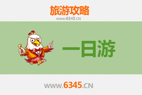 万宁国营东和农场一日游攻略：热带田园风光与亲子体验之旅