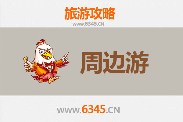 万宁国营东和农场周边游攻略：探秘热带田园与海滨风情