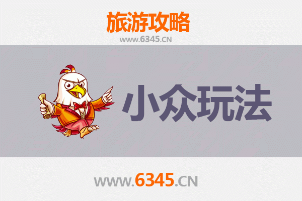 万宁国营东和农场小众玩法全攻略：探秘热带田园与在地文化